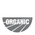 ORGANIC logo with white radiating lines