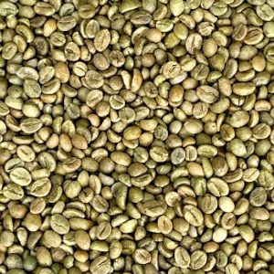ROBUSTA GRADE 1 S16 CLEAN