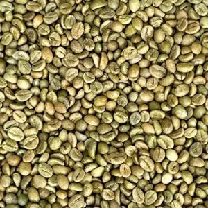 Robusta Grade 1 S16 Clean green coffee beans