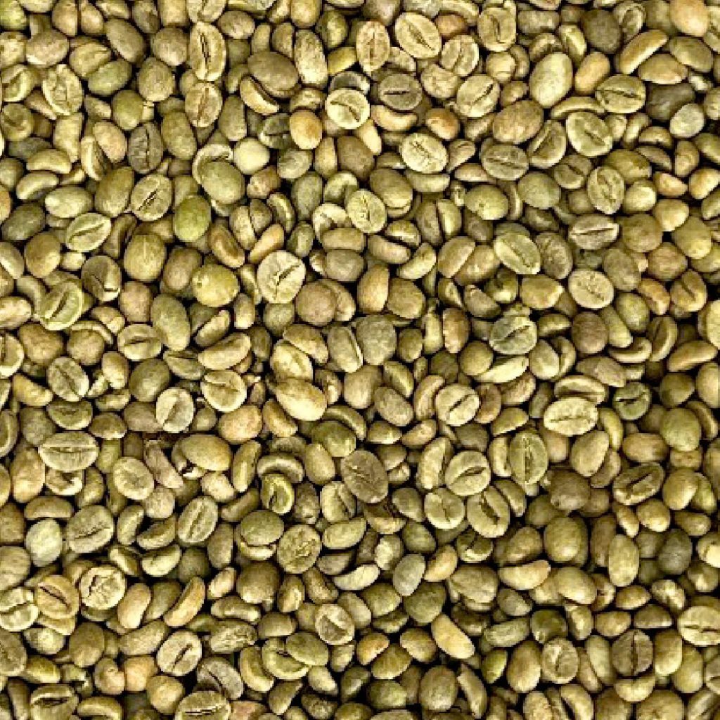 Robusta Grade 1 S16 Standard