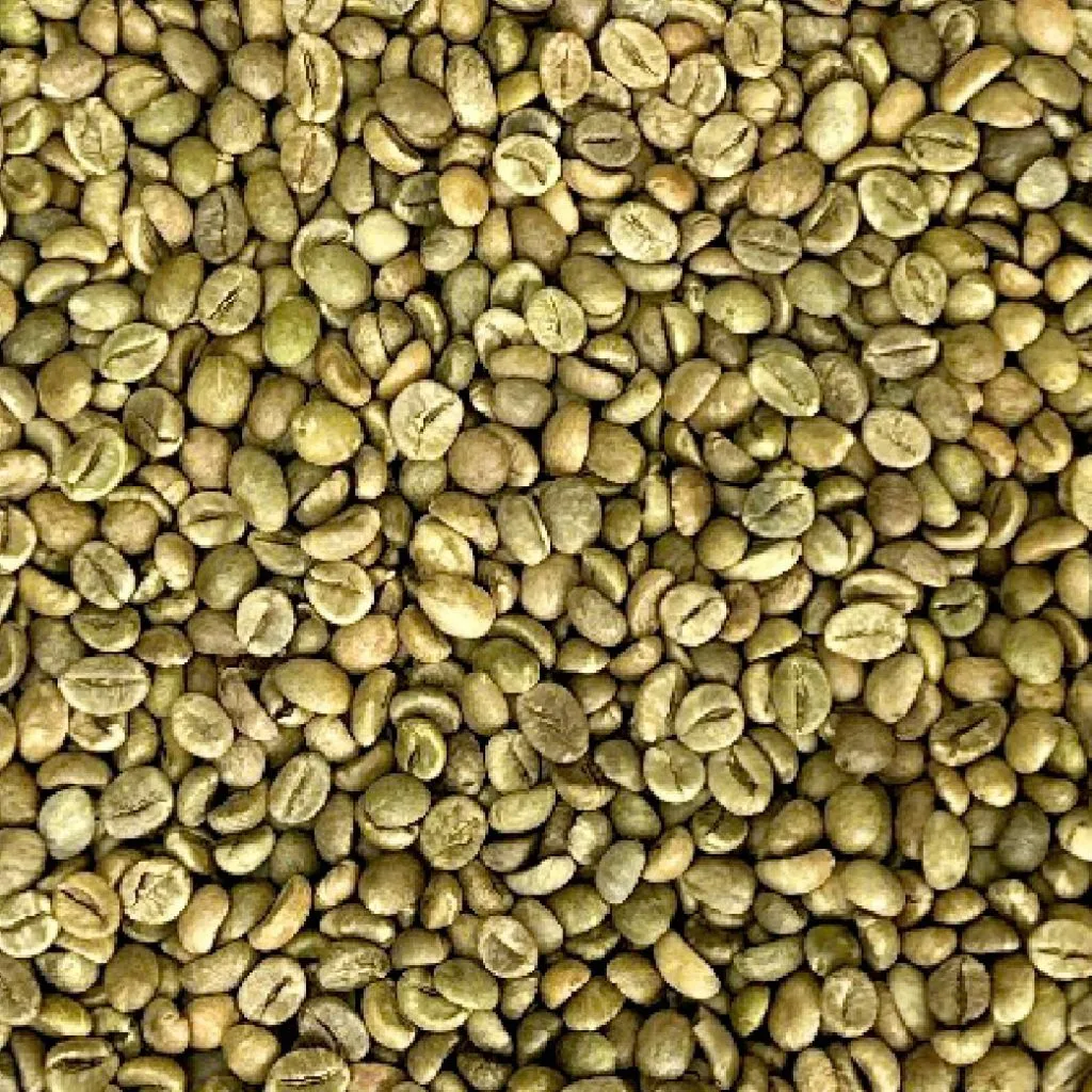 Hạt cà phê nhân Robusta Grade 1 S16 Standard