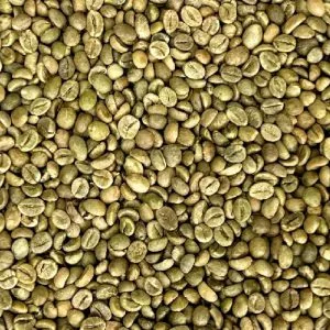 Robusta Grade 1 S16 Standard green coffee beans