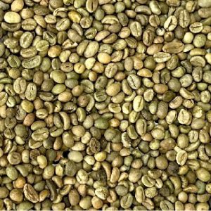 Robusta Grade 1 S18 Clean