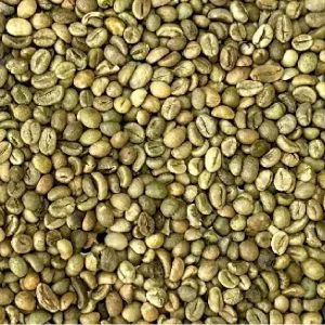 Robusta Grade 1 S18 Clean green coffee beans