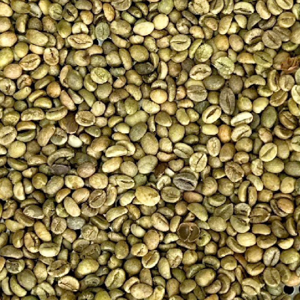 Robusta Grade 1 S18 Standard