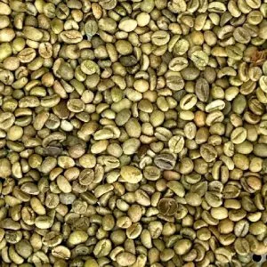 Robusta Grade 1 S18 Standard green coffee beans