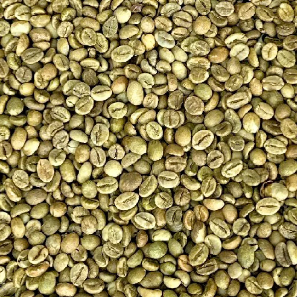 Robusta Grade 1 S13 Standard green coffee beans