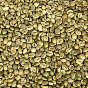 Robusta Grade 1 S13 Standard