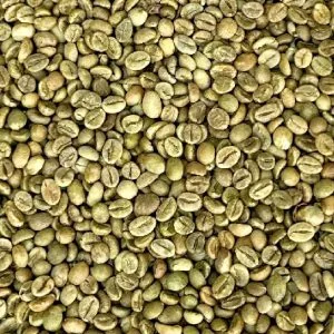 Robusta Grade 1 S13 Standard green coffee beans