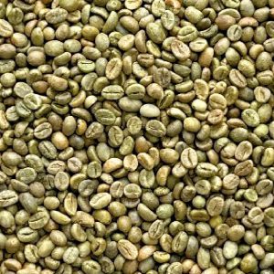 ROBUSTA GRADE 1 S13 CLEAN