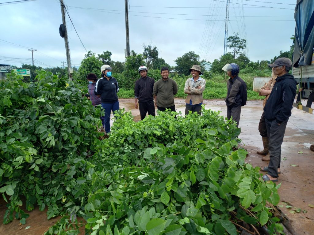 Growers and programme representatives meet beside seedlings prepared for distribution.