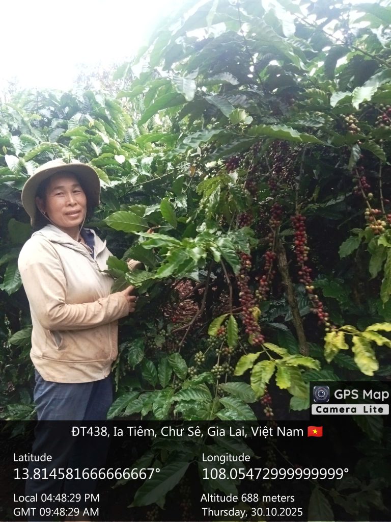 Vinh Hiep Foot Print Carbon