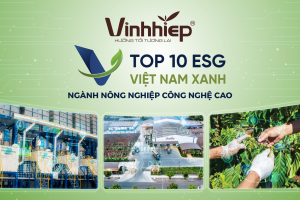 Vĩnh Hiệp Top 10 ESG