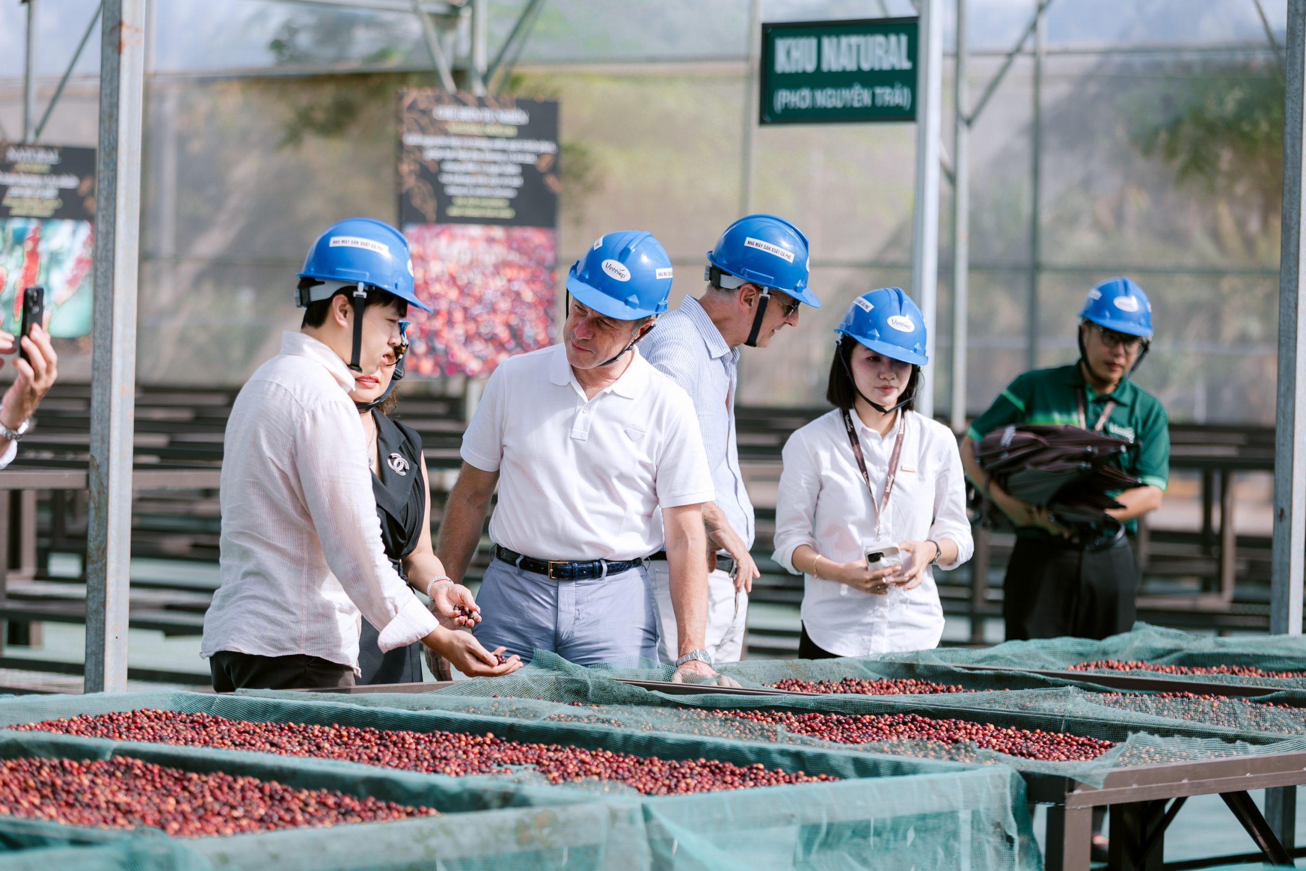 TỪ NƯỚC Ý ĐẾN ĐẠI NGÀN GIA LAI: CHUYẾN THĂM ĐẶC BIỆT CỦA CHỦ TỊCH LAVAZZA TẠI VĨNH HIỆP 14 TINO2933 scaled