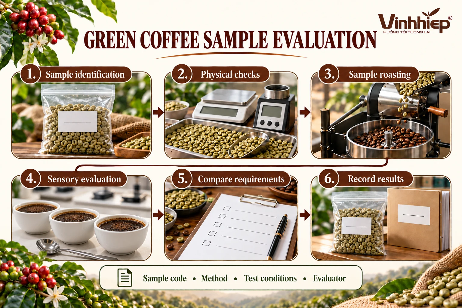 Green coffee sample evaluation: a practical buyer's record 2 Six stages of green coffee sample evaluation