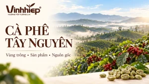 Minh họa AI cảnh quan cà phê Tây Nguyên với logo Vĩnh Hiệp